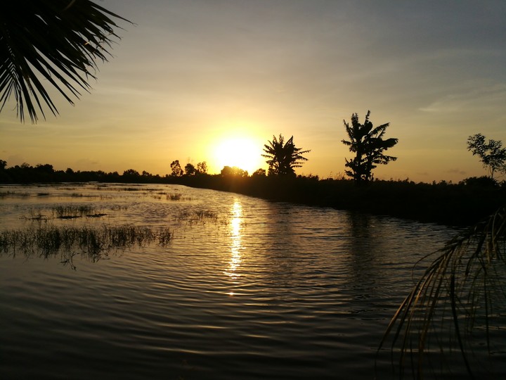 sunset