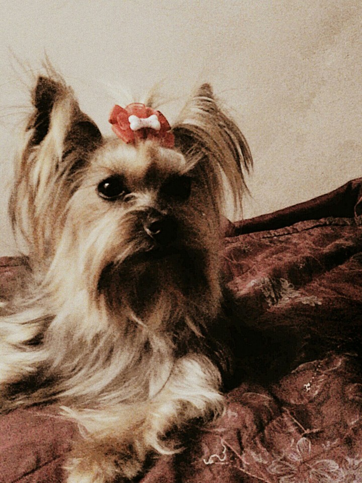 Sasha❤