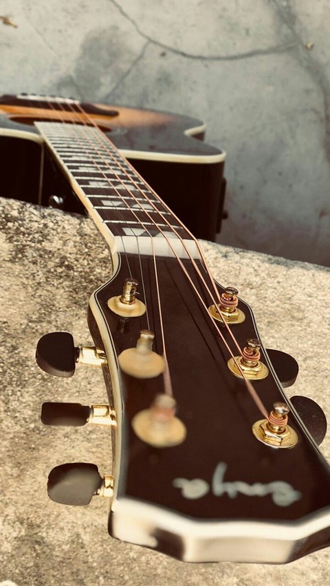 guitar lvr