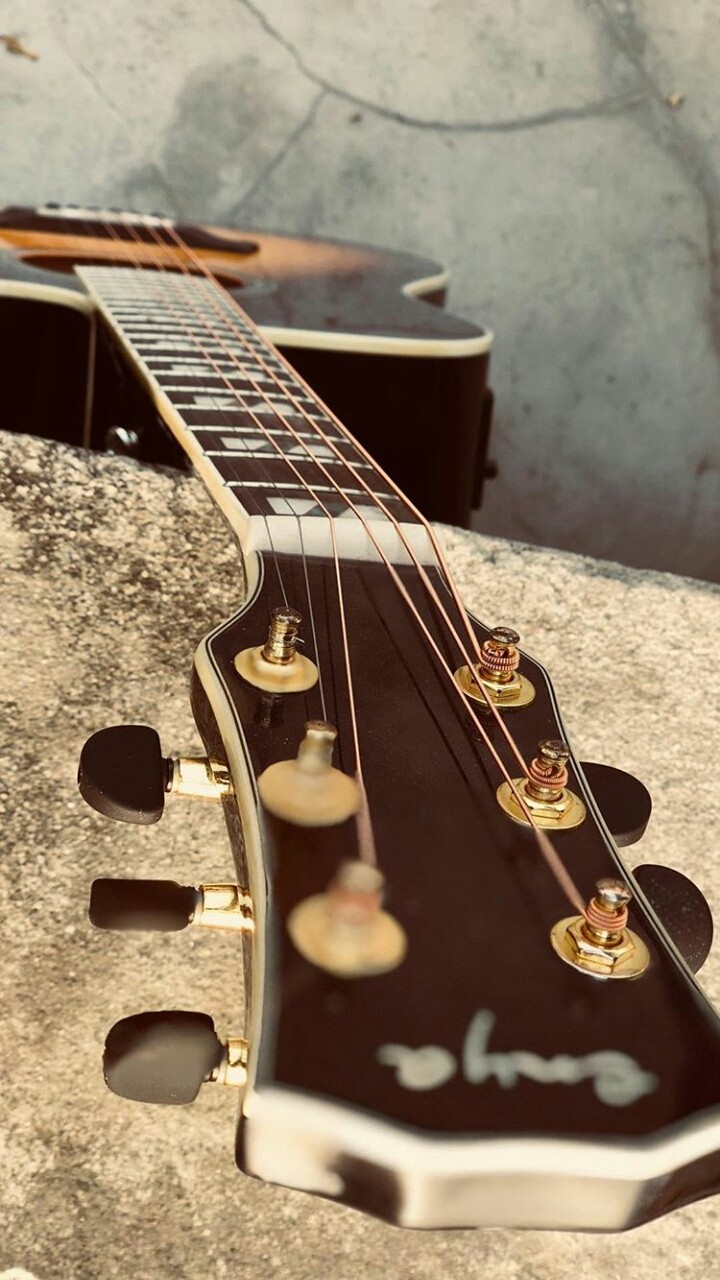 guitar lvr