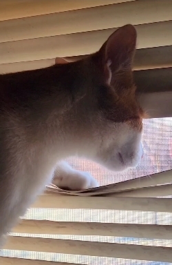 Molly never stops