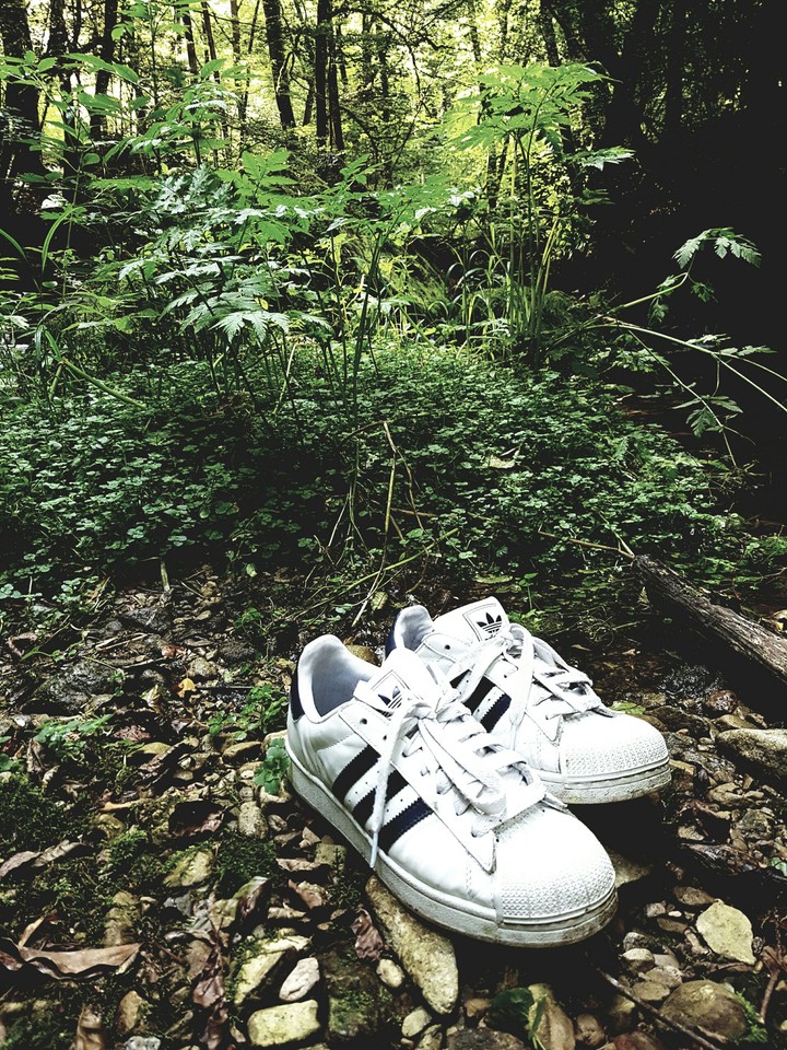 Superstars in the forest!