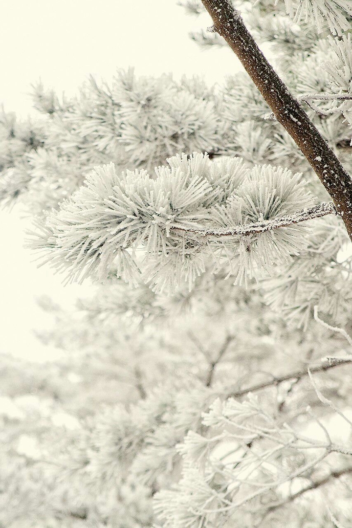 winter