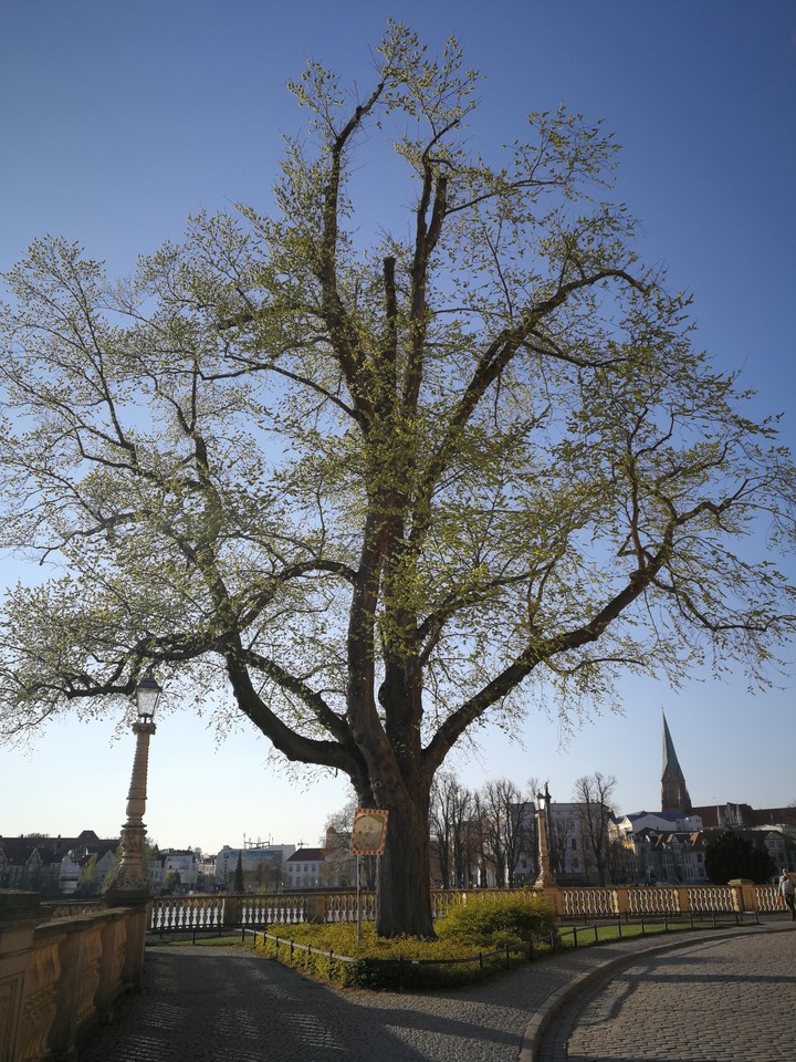 Schwerin ×××