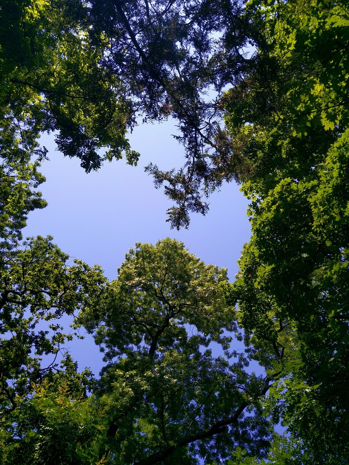 what i see