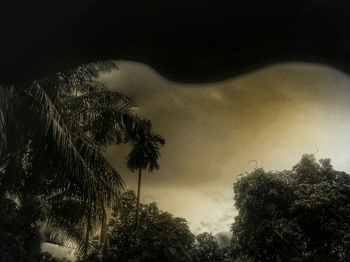 homepage