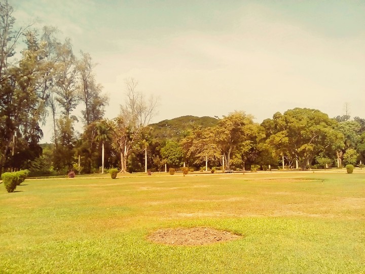 Beautiful Nature