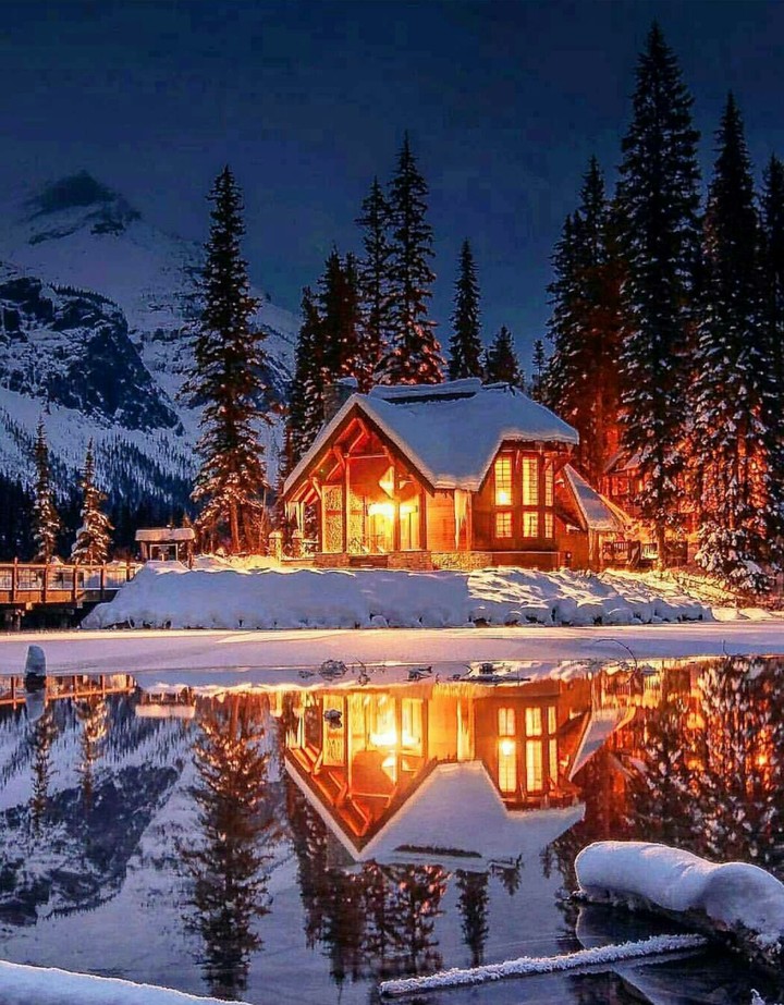 the warm winter night