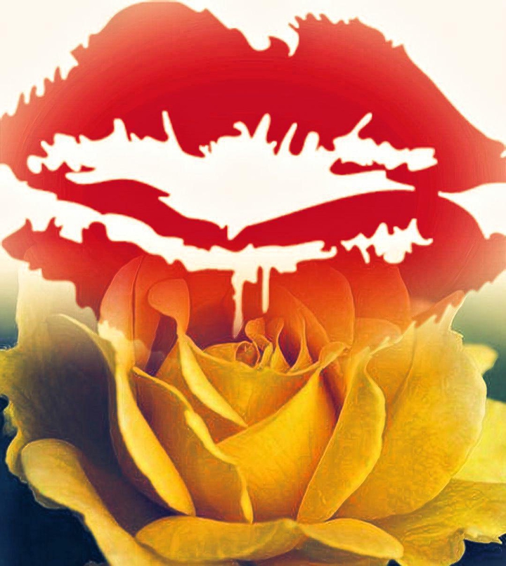 kissinarose