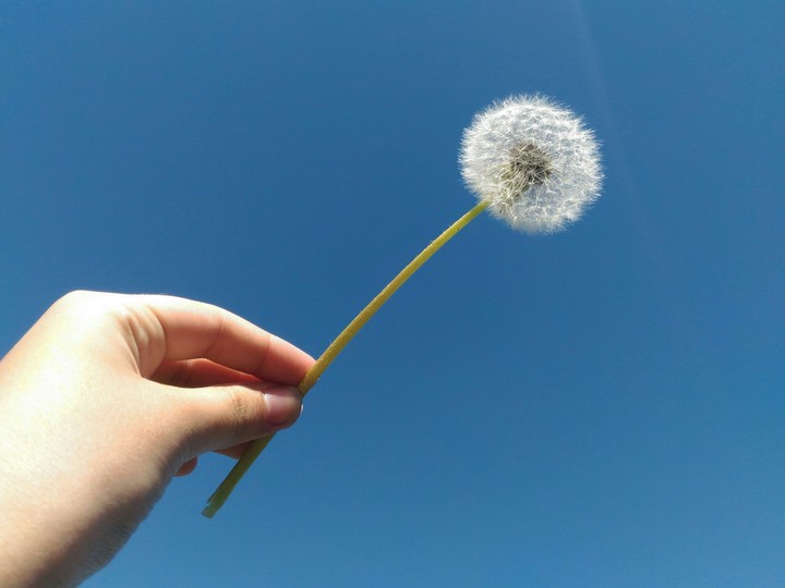Blue sky