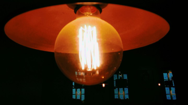 bulbs