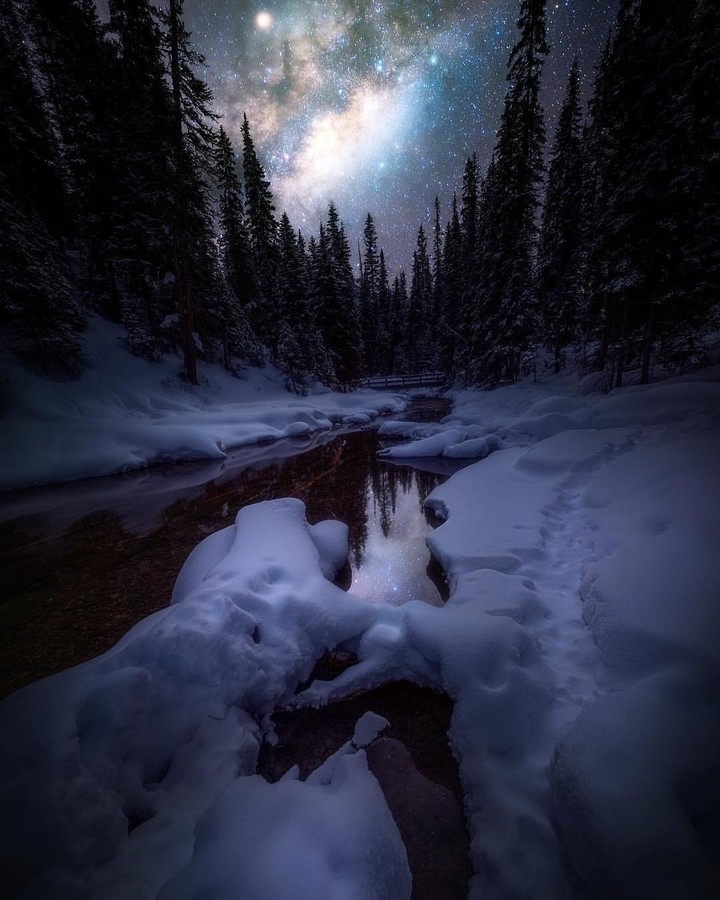 Nature Photography