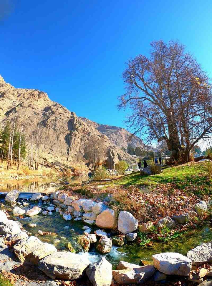 عالی