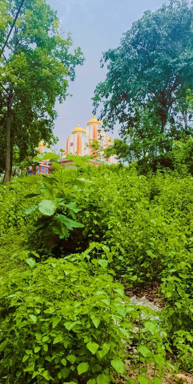 RAM MANDIR ?