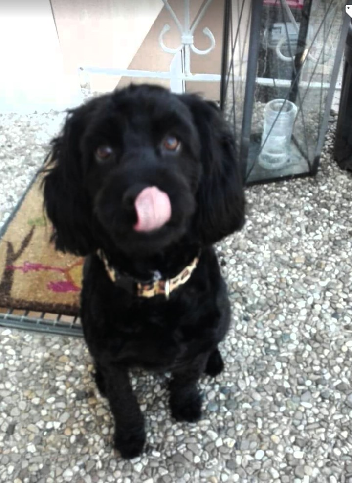 I am sweety
