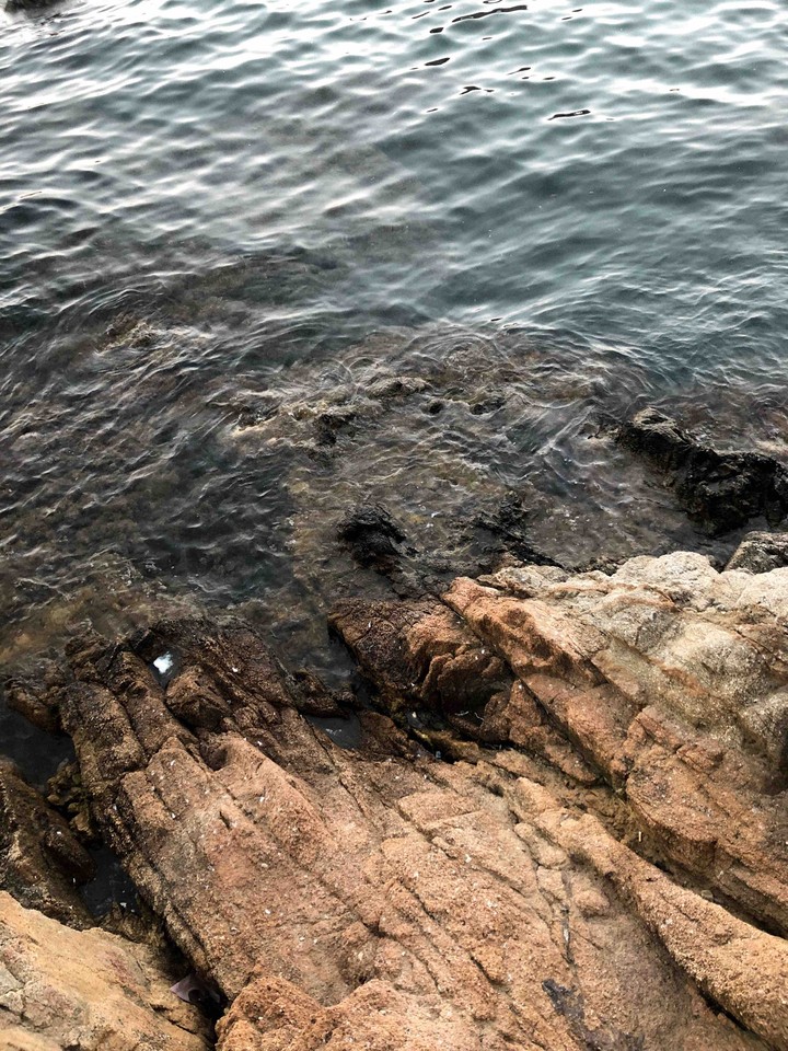 sea