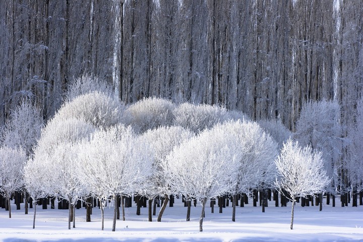 snow i love it