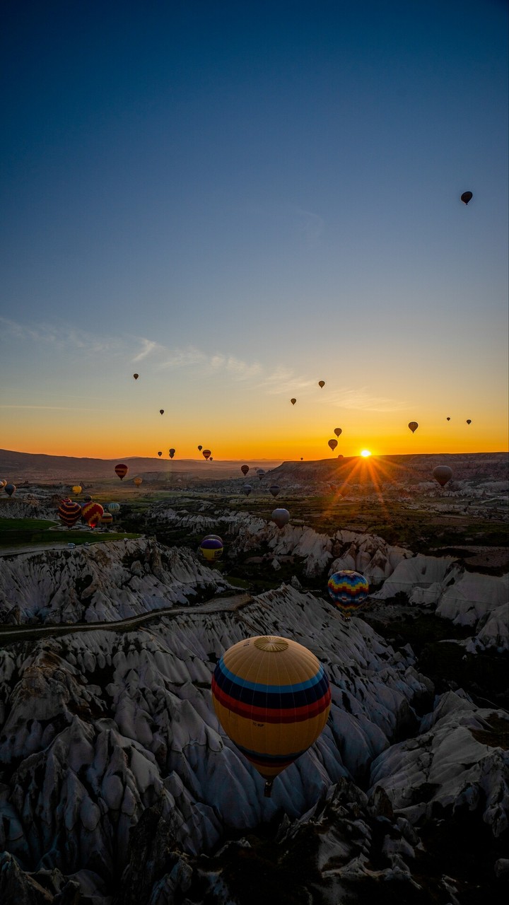 hot air balloon