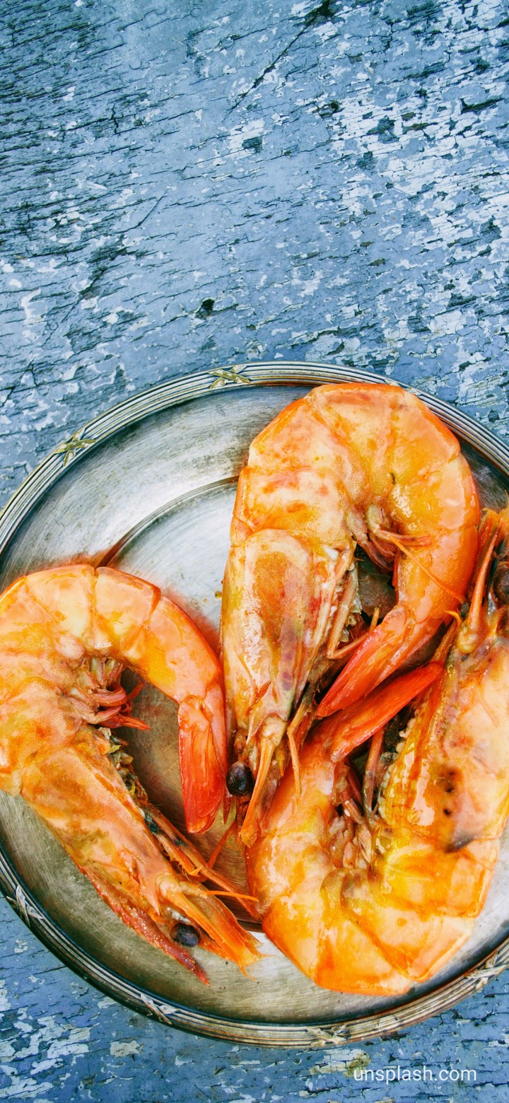 shrimp