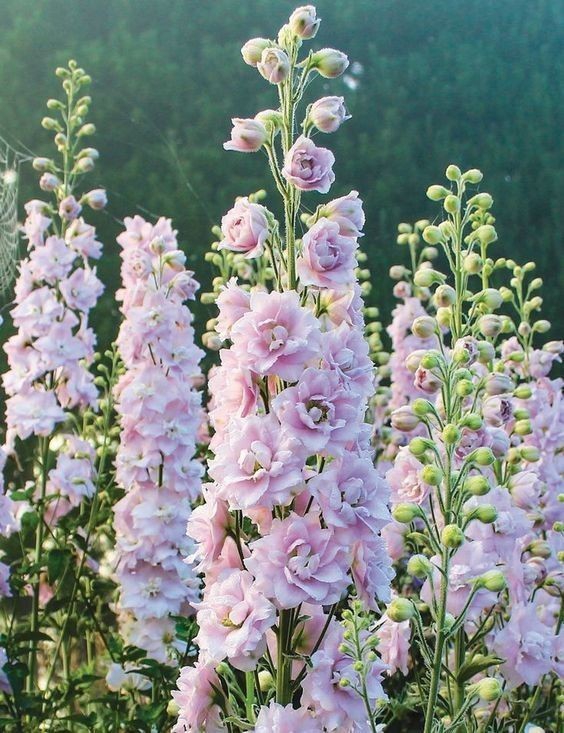 ❤