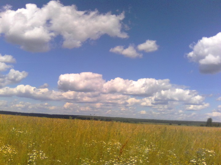 поле