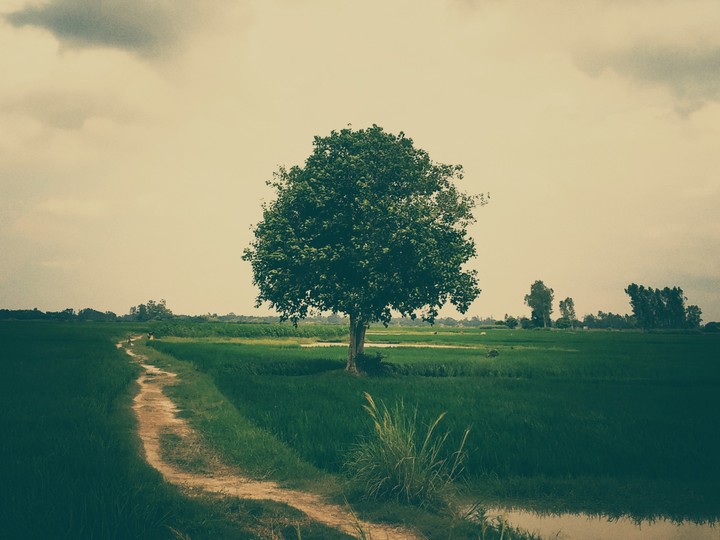 A peaceful place