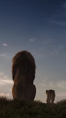 The Lion King