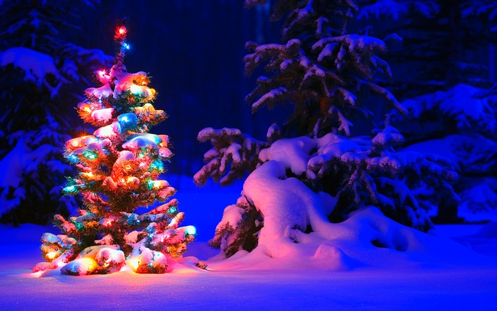 CHRISTMAS TREE