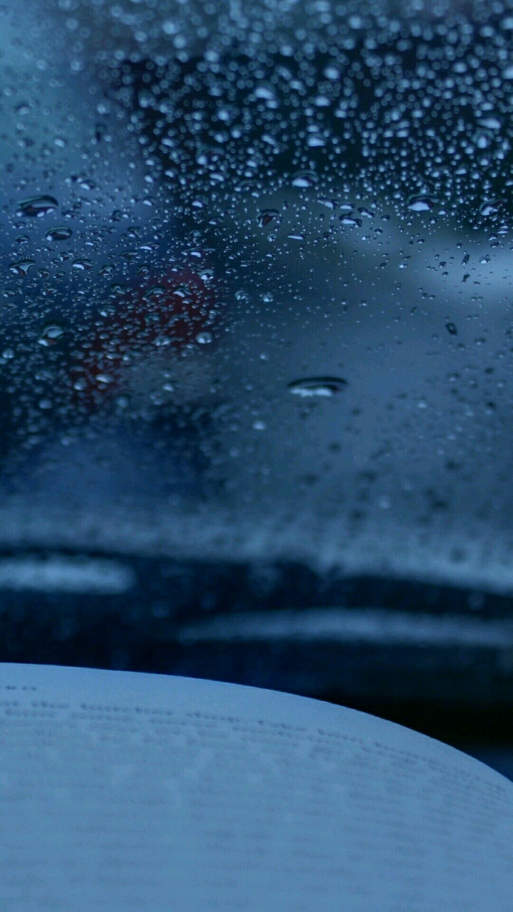 Window
