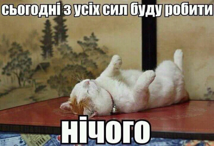 З усіх сил він буде робити НІЧОГО