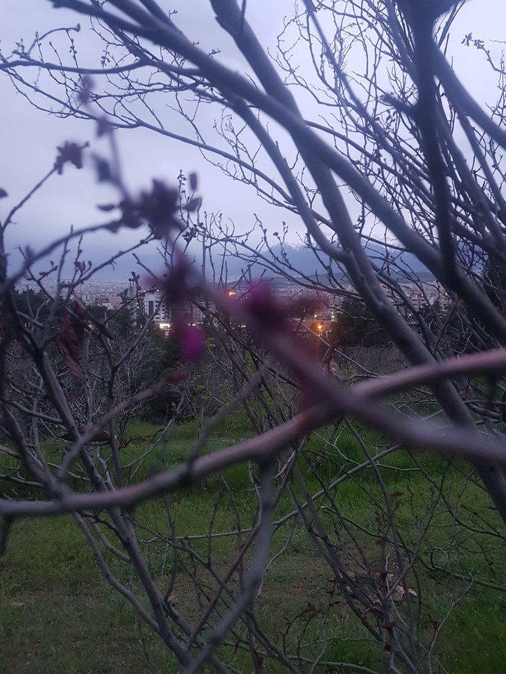 #View