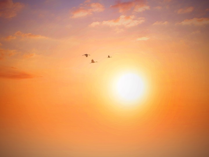 Daybreak