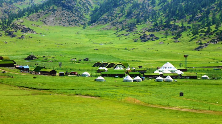 grassland