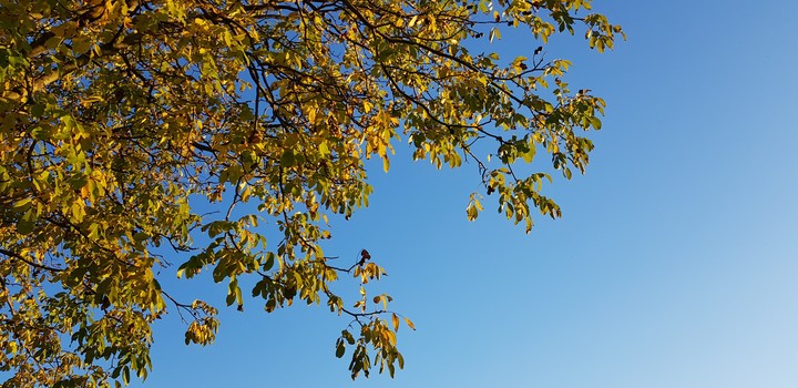 himmel