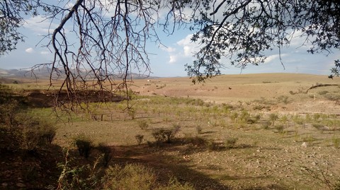 Sierra Tarahumara