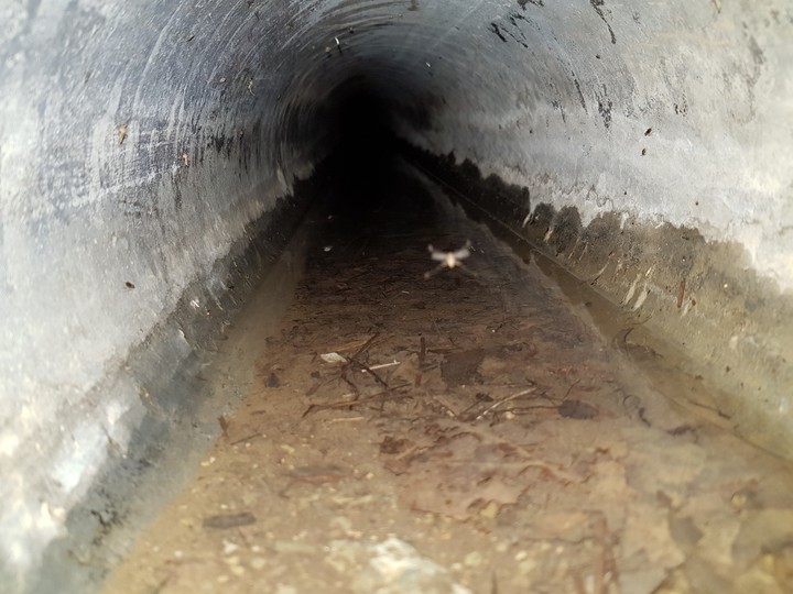 pipe