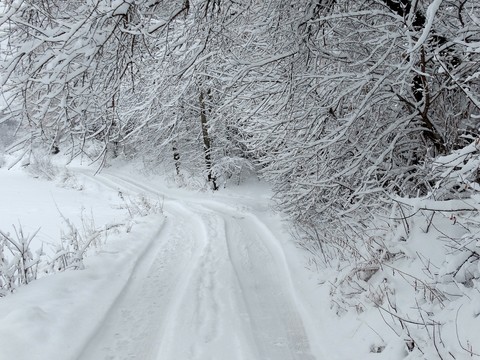 Snow