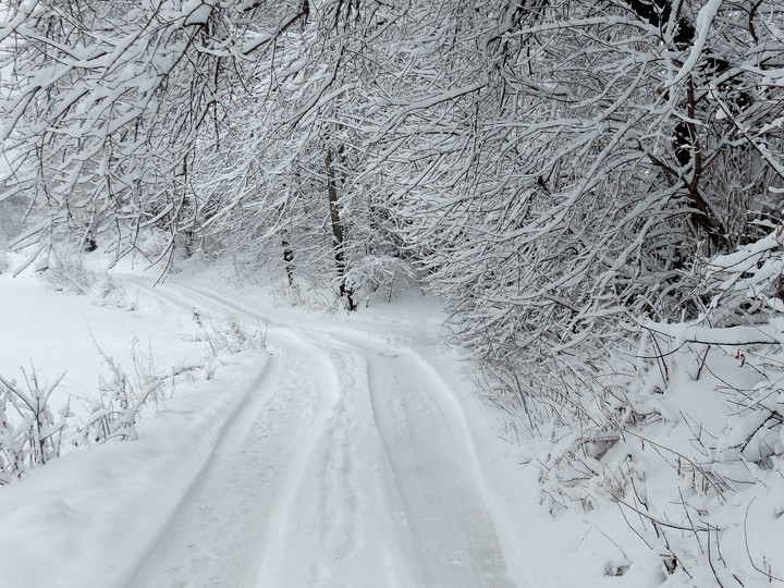 Snow