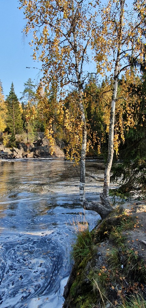 landscapes, watercourse wallpapers