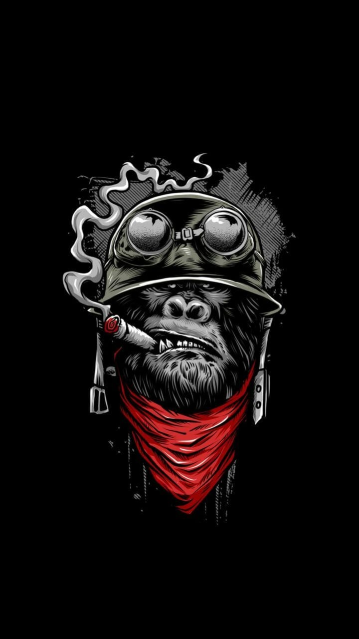 monkey