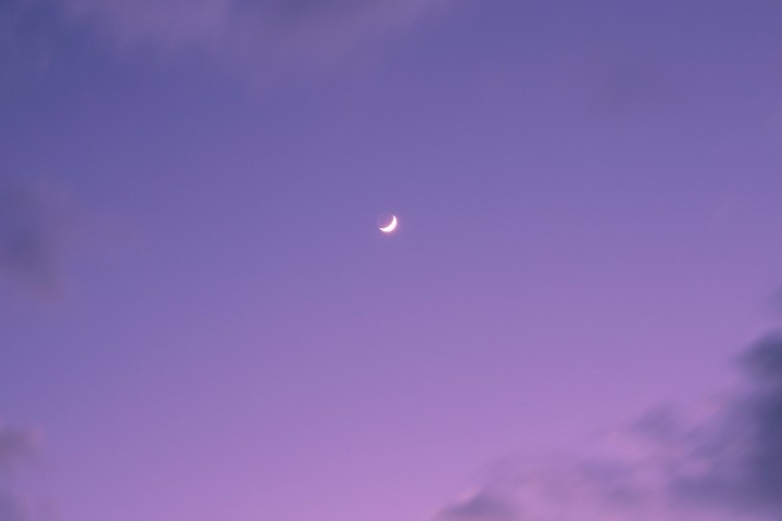 허ㅓㅓㅕㅢ