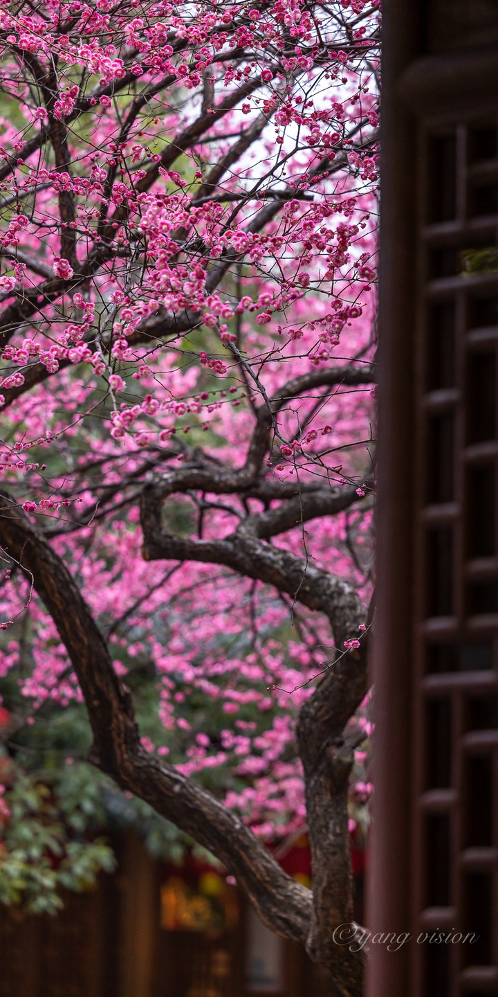 Beginning of spring