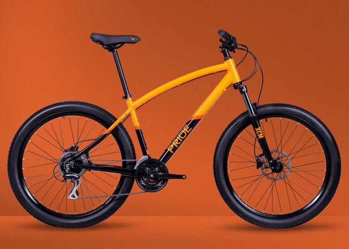 pride bike