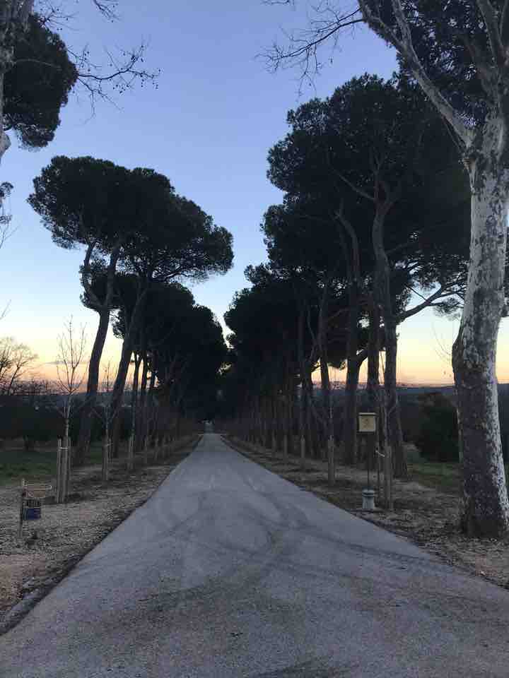 Casita del Principe park