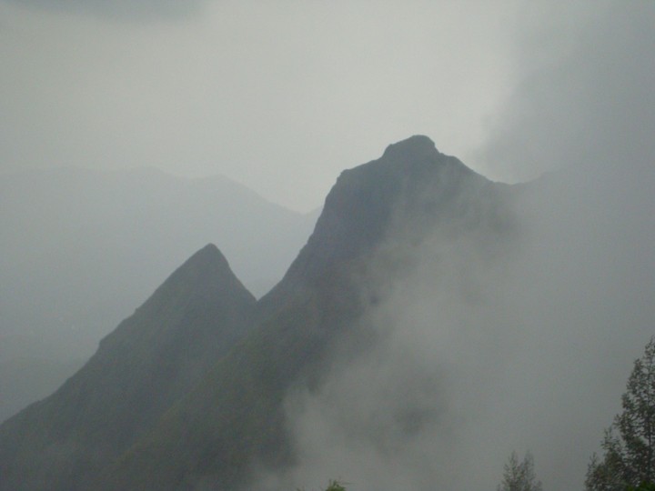 Fog