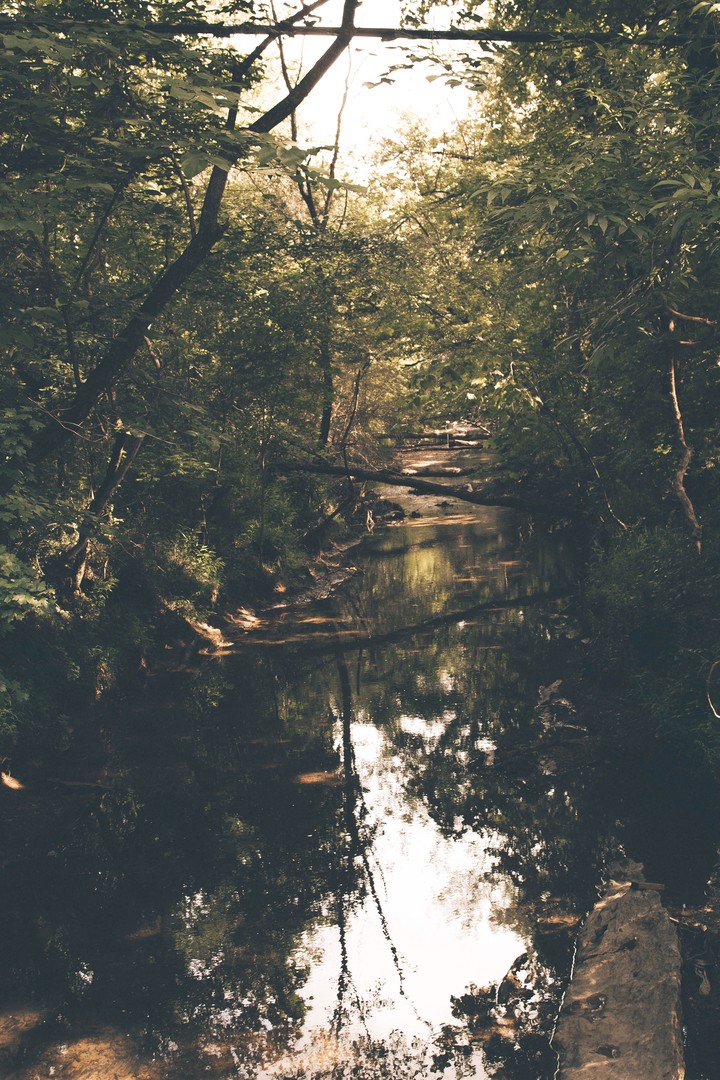 moody steams
