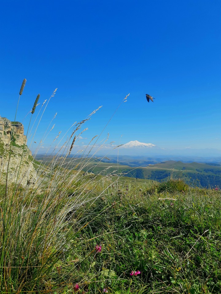 Elbrus