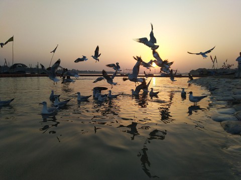 The siberian , Sunset and the Ganga