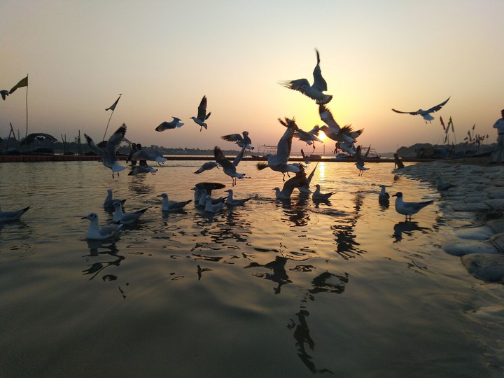 The siberian , Sunset and the Ganga