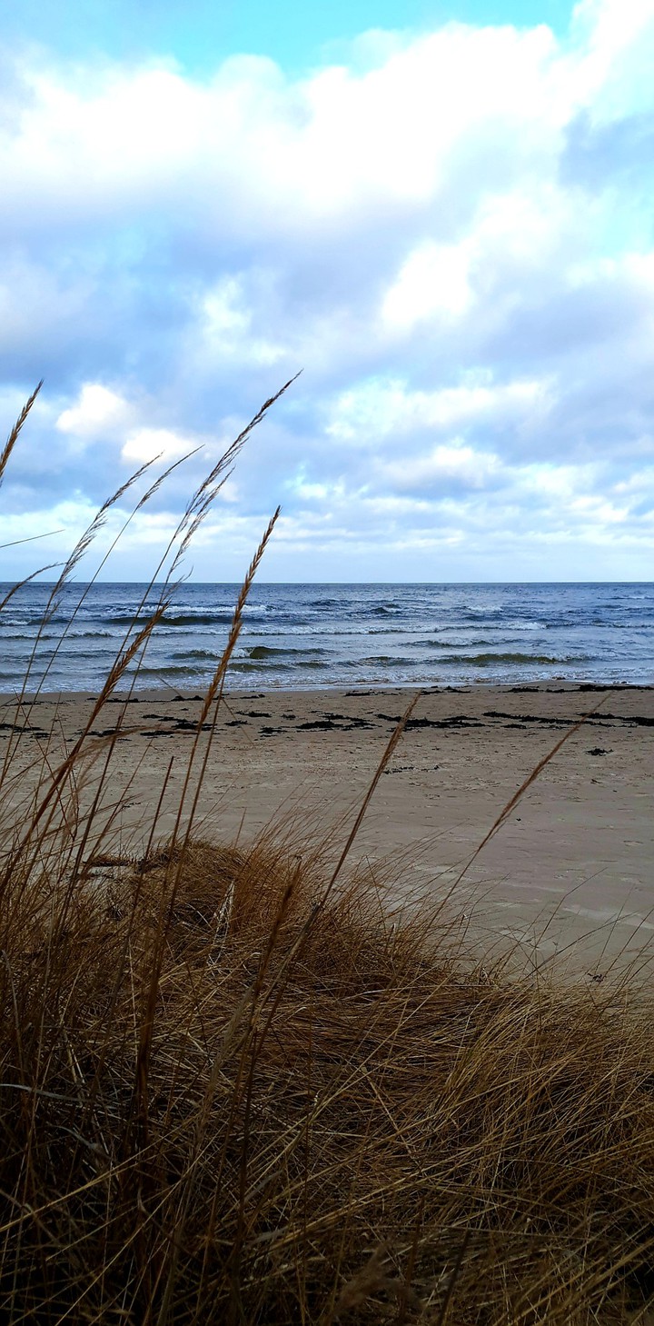 Baltic beach
